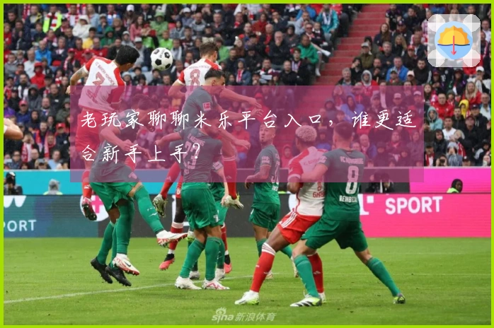 老玩家聊聊米乐平台入口，谁更适合新手上手？