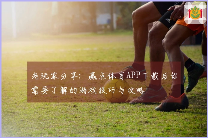 老玩家分享：赢点体育APP下载后你需要了解的游戏技巧与攻略