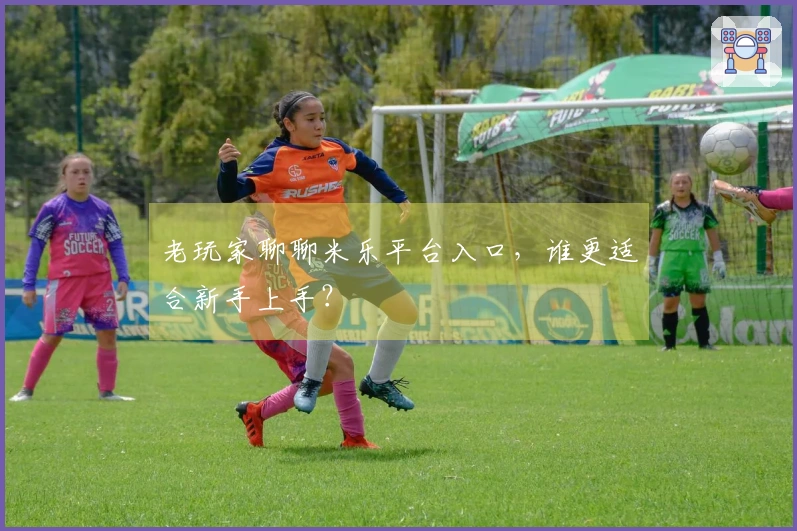 老玩家聊聊米乐平台入口，谁更适合新手上手？