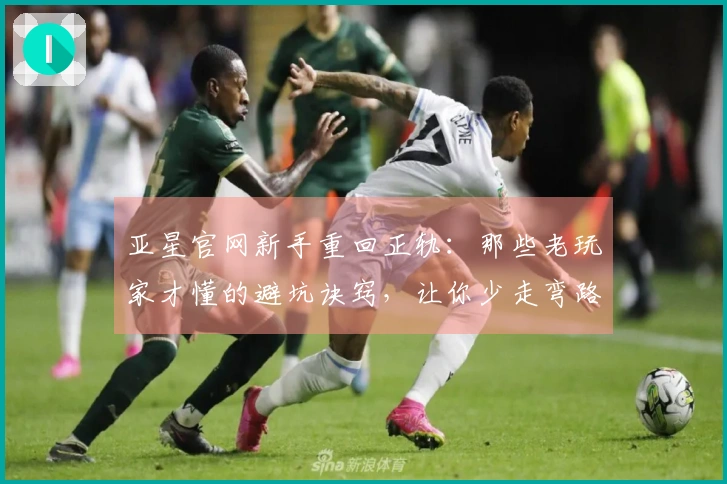 亚星官网新手重回正轨：那些老玩家才懂的避坑诀窍，让你少走弯路