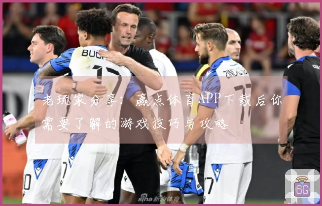 老玩家分享：赢点体育APP下载后你需要了解的游戏技巧与攻略